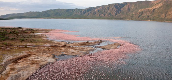 Lake_Bogoria